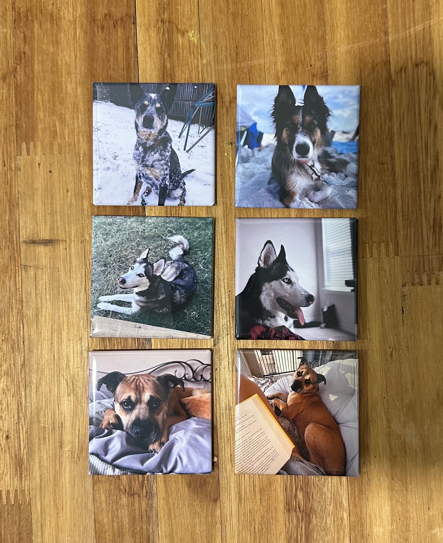 Set of 6 custom photo magnets