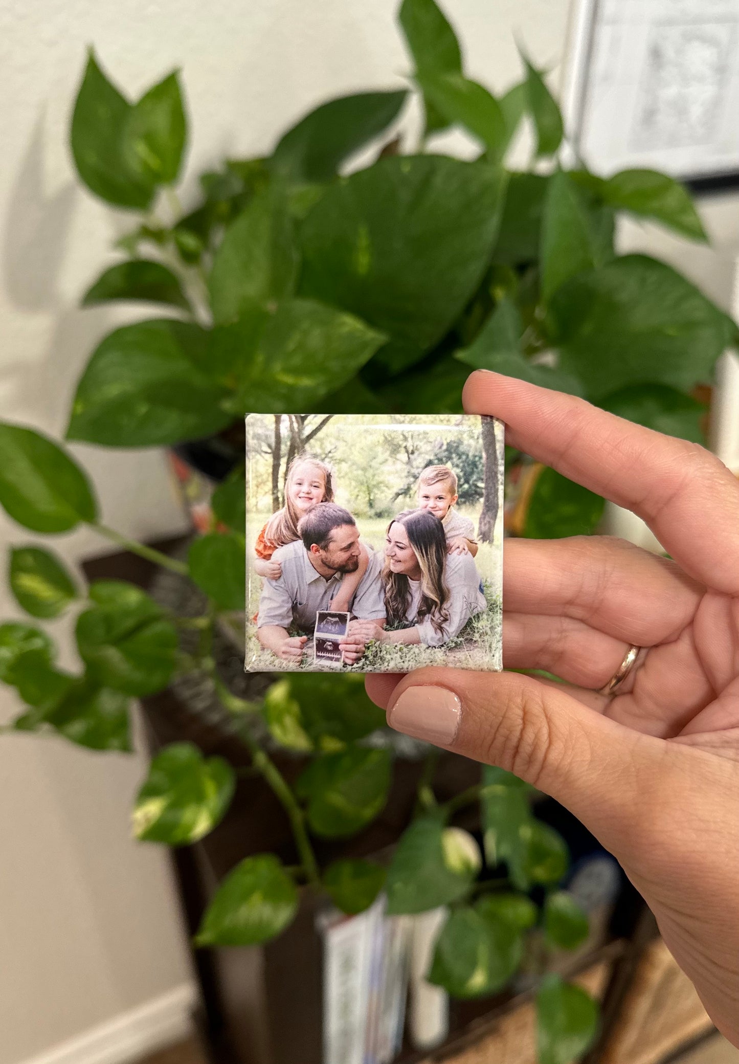 Set of 6 custom photo magnets